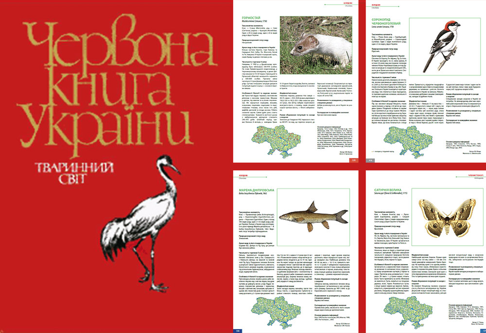 Які тварини занесені до Червоної книги України: детальний перелік